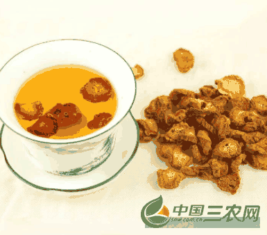 牛蒡茶的饮用方法(牛蒡茶的食用方法)